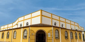 comprar-aove-en-almazara-por-que-es-la-mejor-eleccion-para-tu-salud-y-tu-paladar